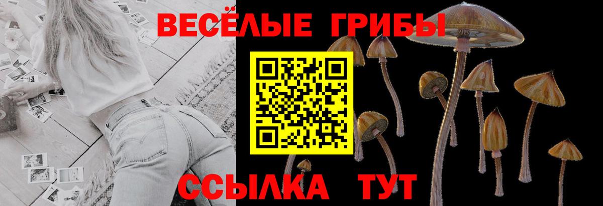 Псилоцибиновые грибы ЛСД  Вход с VPN  Урюпинск 